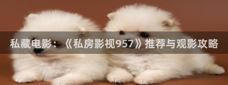 秋霞电影手机板：私藏电影：《私房影视957》推荐与观影攻略