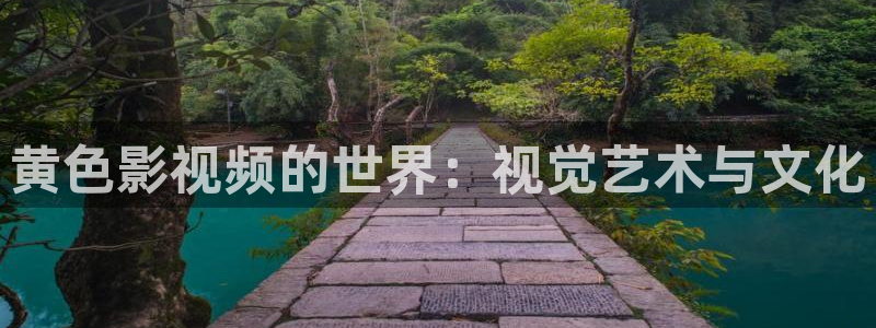 秋霞影视论一线：黄色影视频的世界：视觉艺术与文化