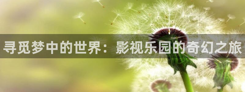 秋霞电影网日本伦理片：寻觅梦中的世界：影视乐园的奇幻之旅