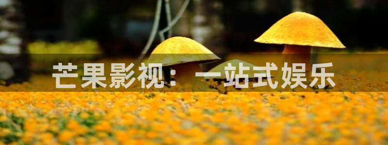 秋霞理论影院：芒果影视：一站式娱乐
