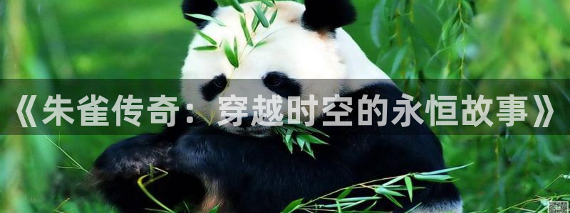 秋霞影院白洁播放：《朱雀传奇：穿越时空的永恒故事》