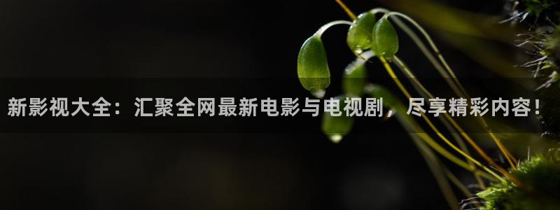 秋霞第一影院：新影视大全：汇聚全网最新电影与电视剧，尽享精彩内容！